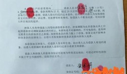 张掖市欠钱爆料事件最新,最新爆料揭示背后真相